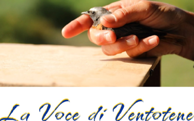 “La Voce di Ventotene” proiezione al cinema Monterosa